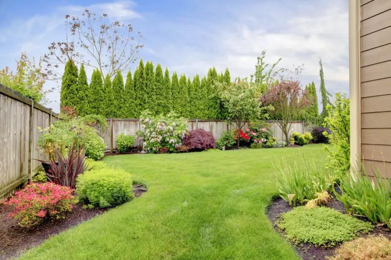 backyard-landscape-lawn