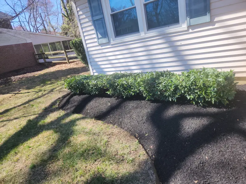 after image of shrubs on the side of house