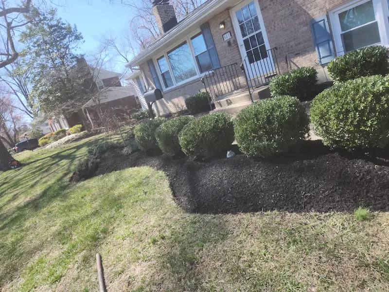 after image of shrubs in front of house