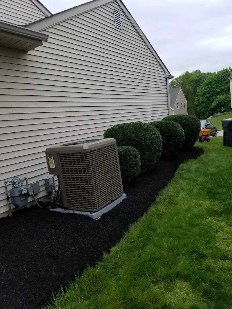 close up after image of shrubs next to house