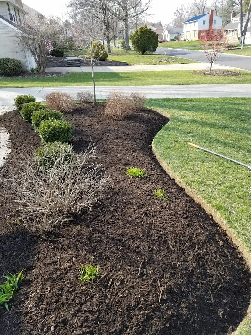 close up after image of front yard landscape