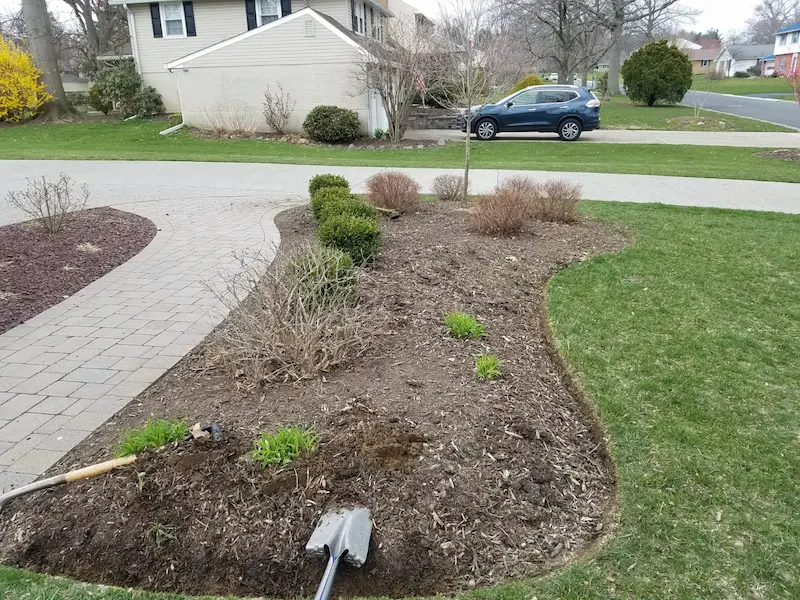 close up before image of front yard landscape