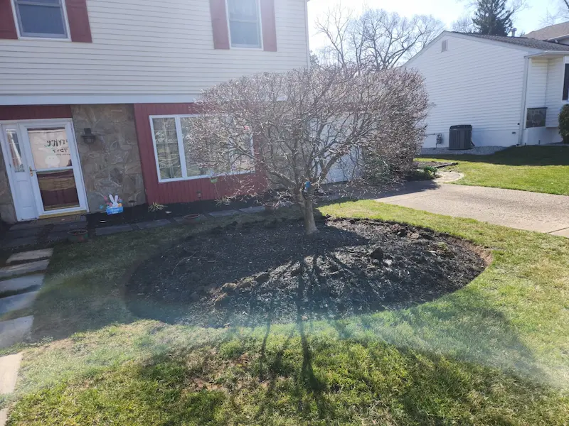 close up image of growing tree