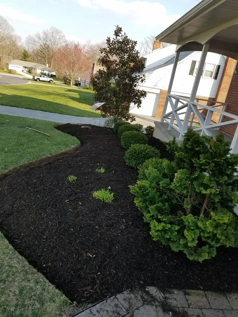 close up after image of front yard shrubs
