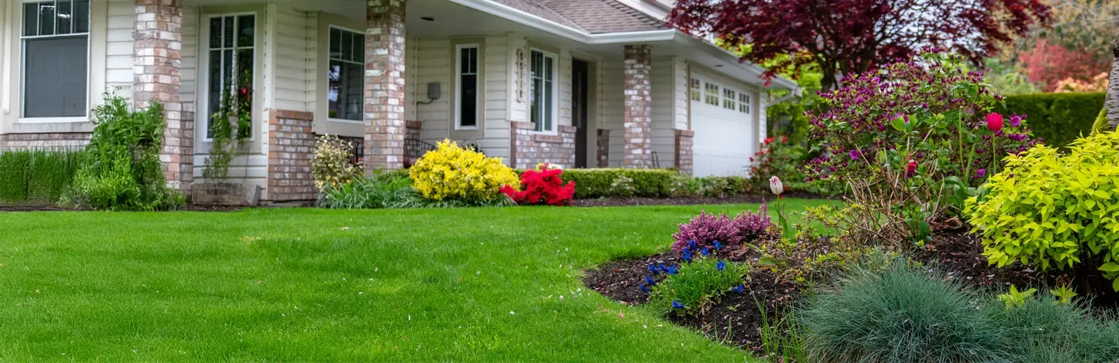 house in the suburbs with nicely landscaped front yard