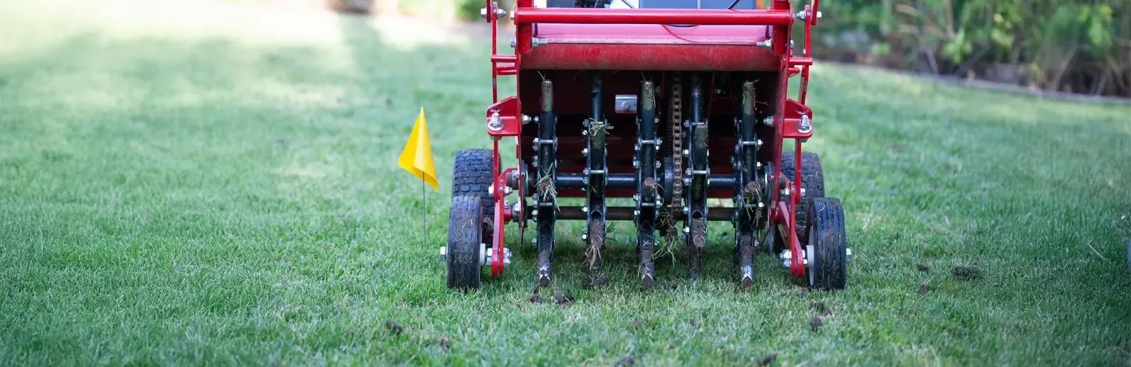 lawn aeration
