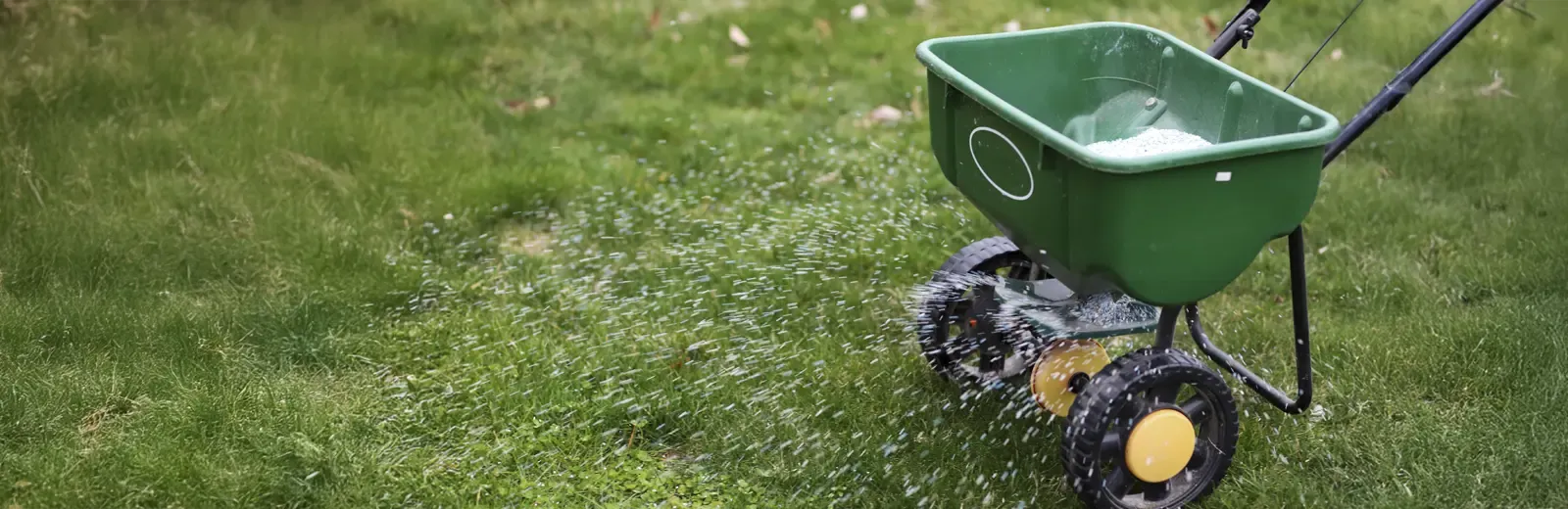 fertilizing lawn