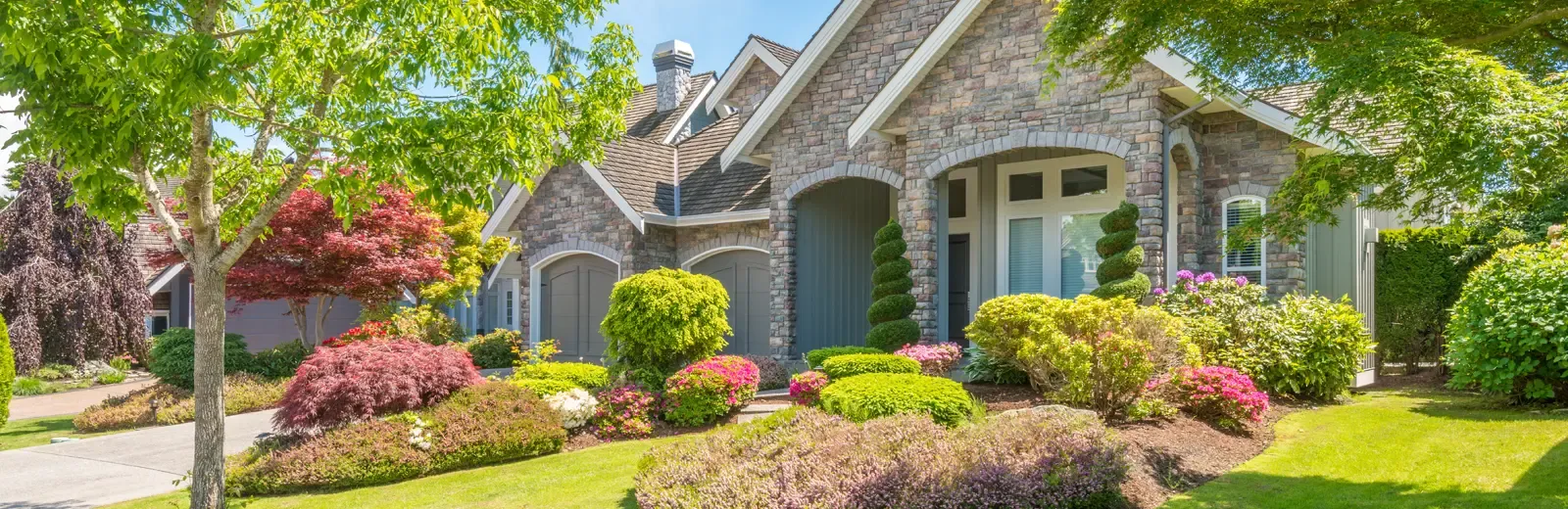 nicely landscaped yard with shrubs and flowers