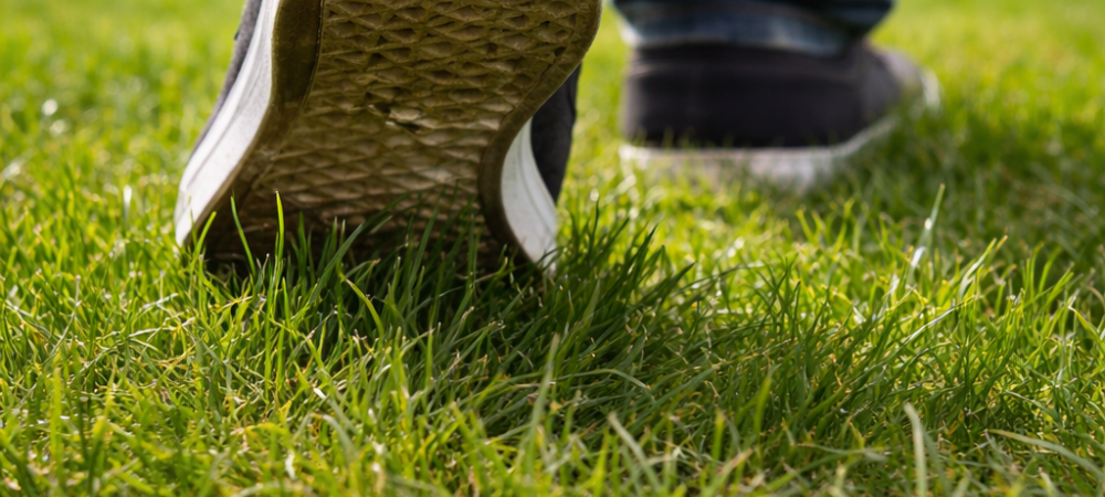 stepping on grass