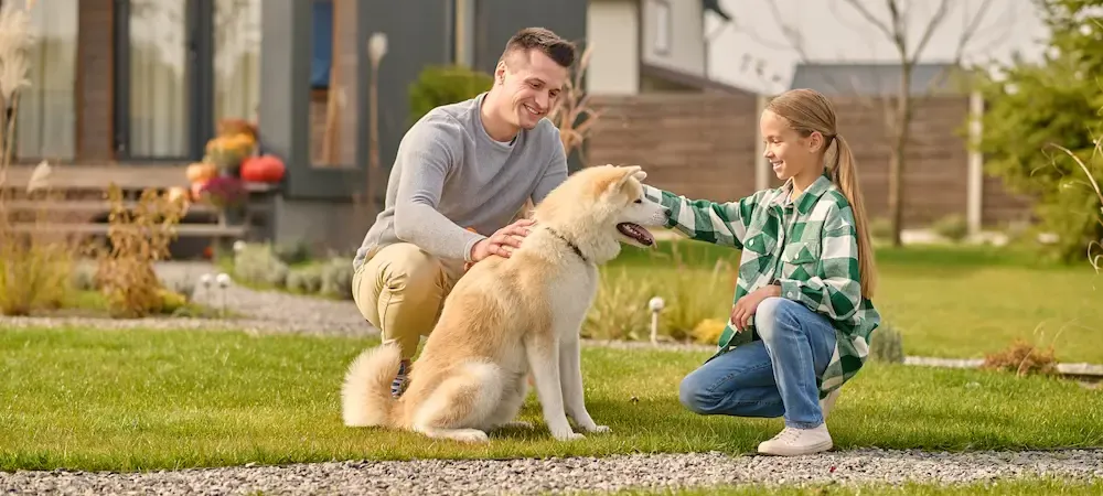 father and daughter petting dog on healthy green lawn