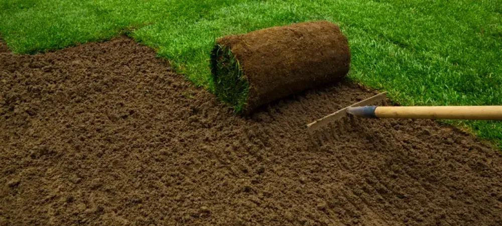 sod installation