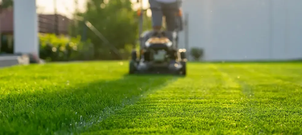 man mowing lawn