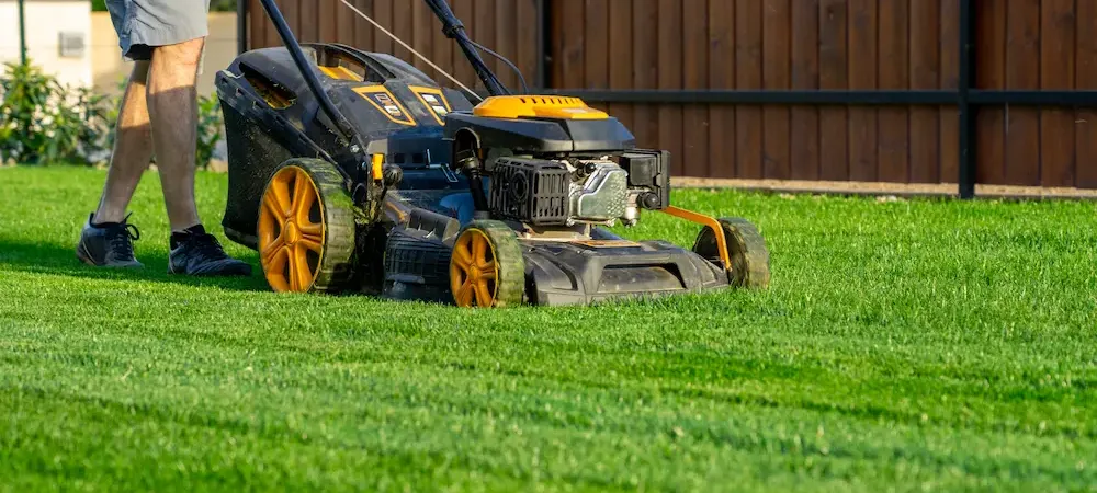 man mowing lawn