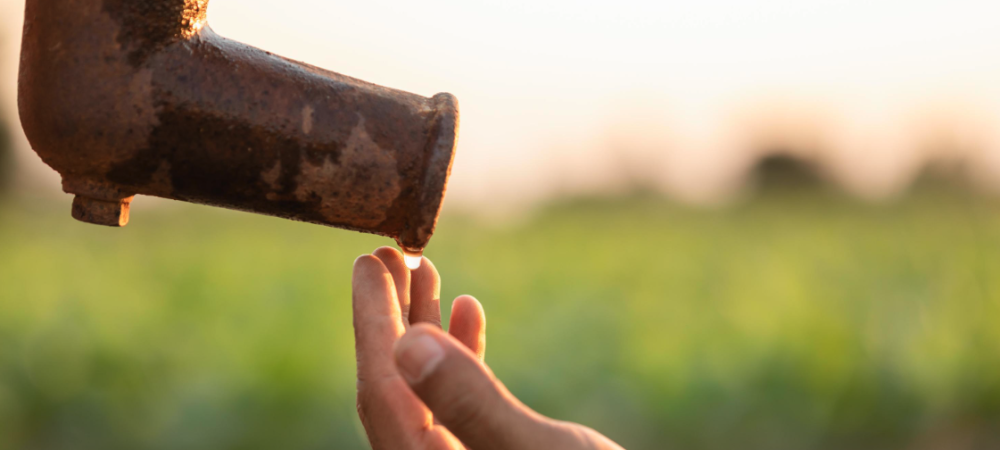 hand of farmer waiting for water at spout