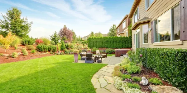 beautiful yard 