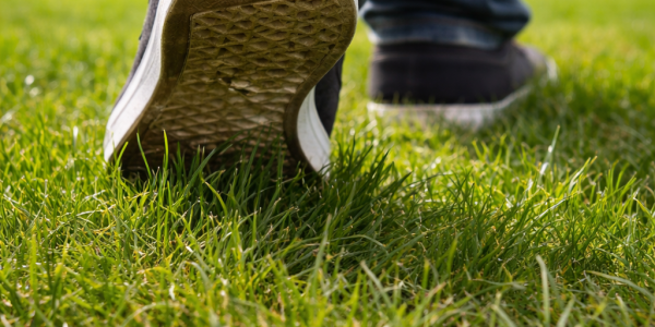 stepping on grass