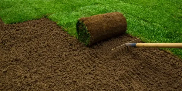sod installation