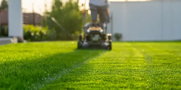 man mowing lawn