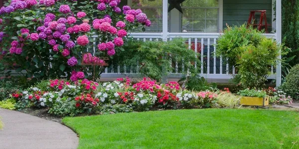 beautiful garden bed with no weeds