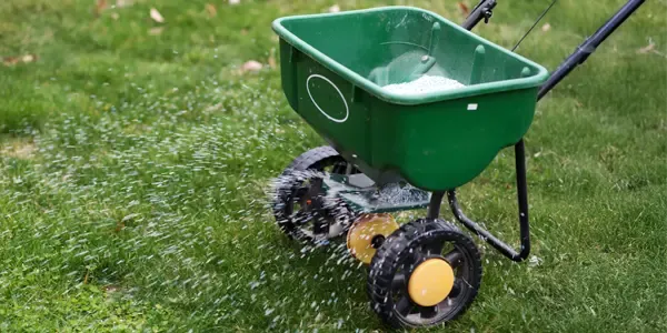 lawn care fertilizing lawn